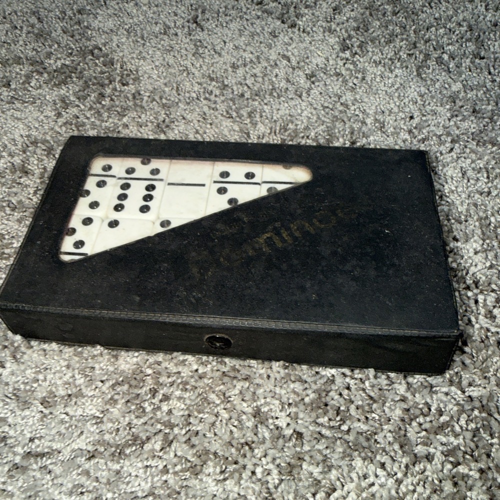 Domino Set, Double Six Dominos In Case